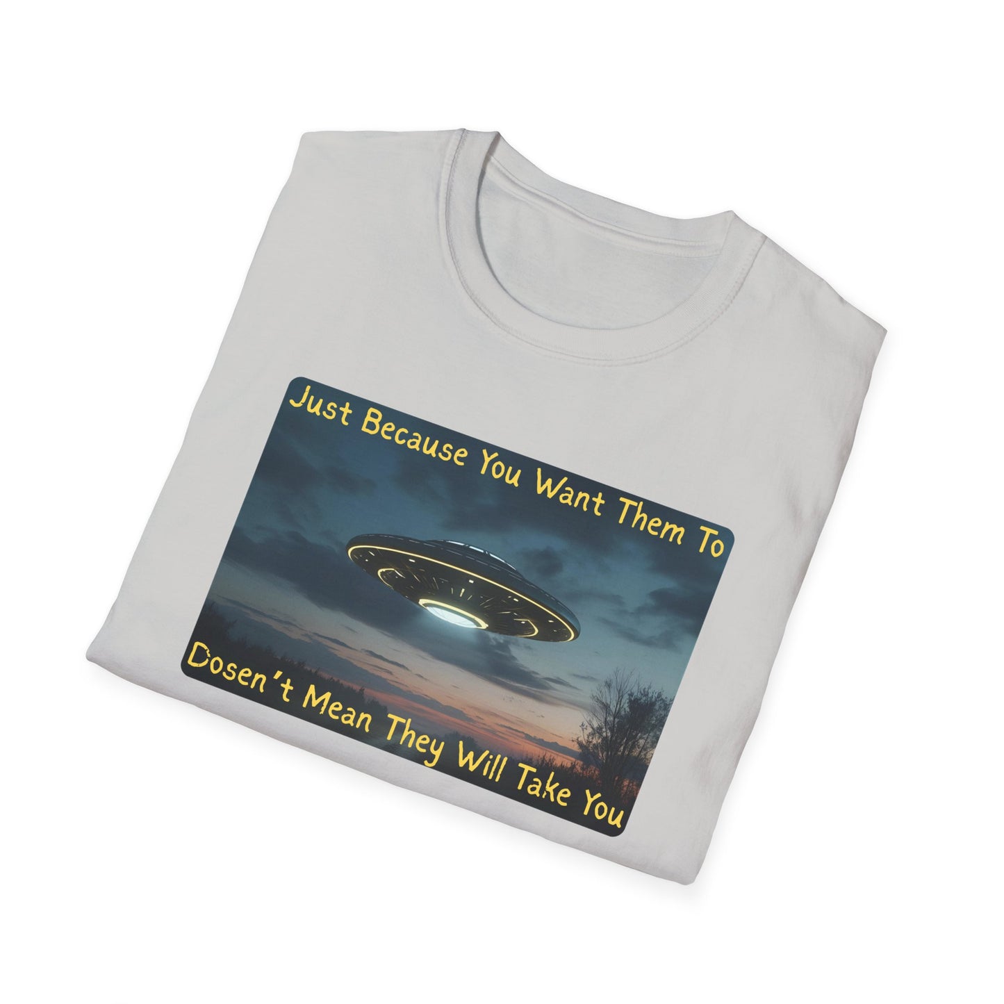 Just Because You Want Them To Dosen't Mean They Will Take You UFO T-Shirt in Ice Grey - Folded
