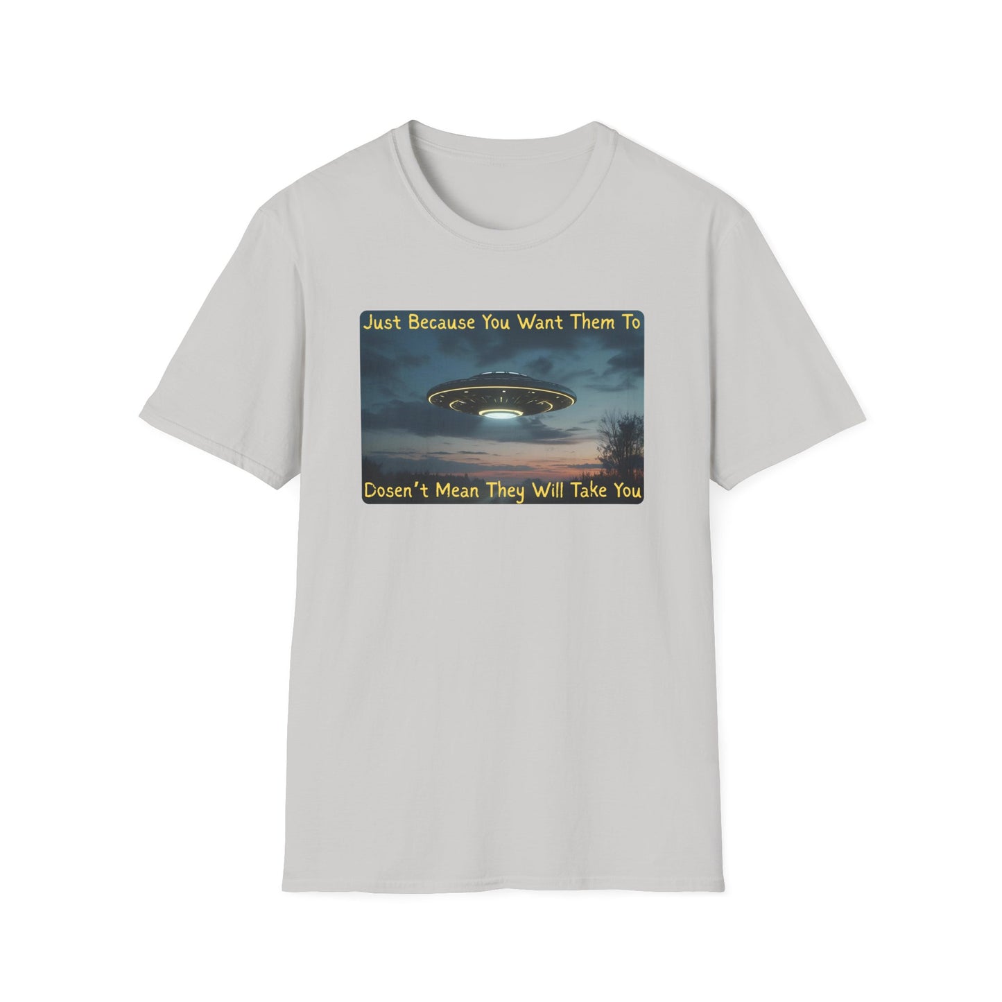 Just Because You Want Them To Dosen't Mean They Will Take You UFO T-Shirt in Ice Grey