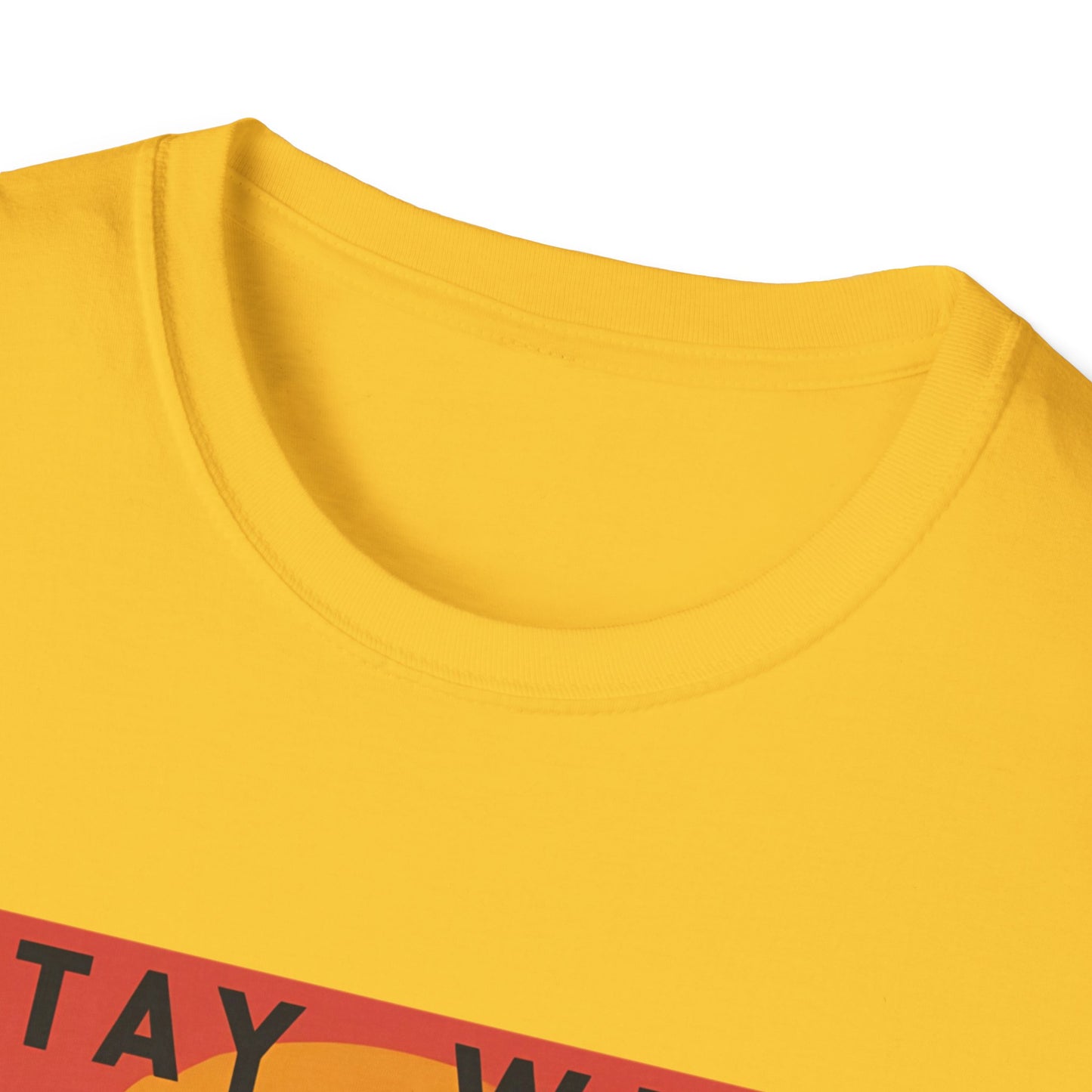 Stay Wild - Bear Graphic T-Shirt