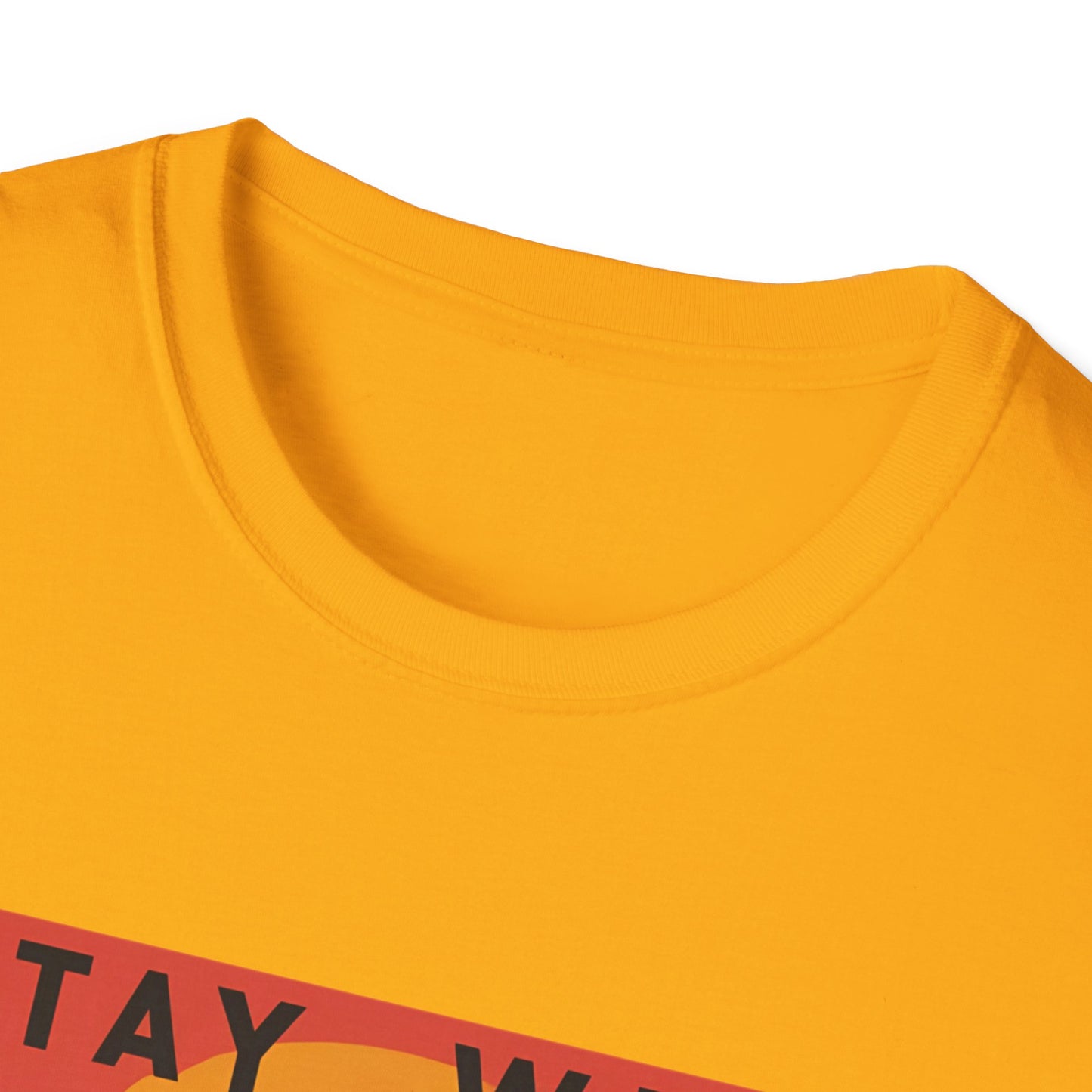 Stay Wild - Bear Graphic T-Shirt