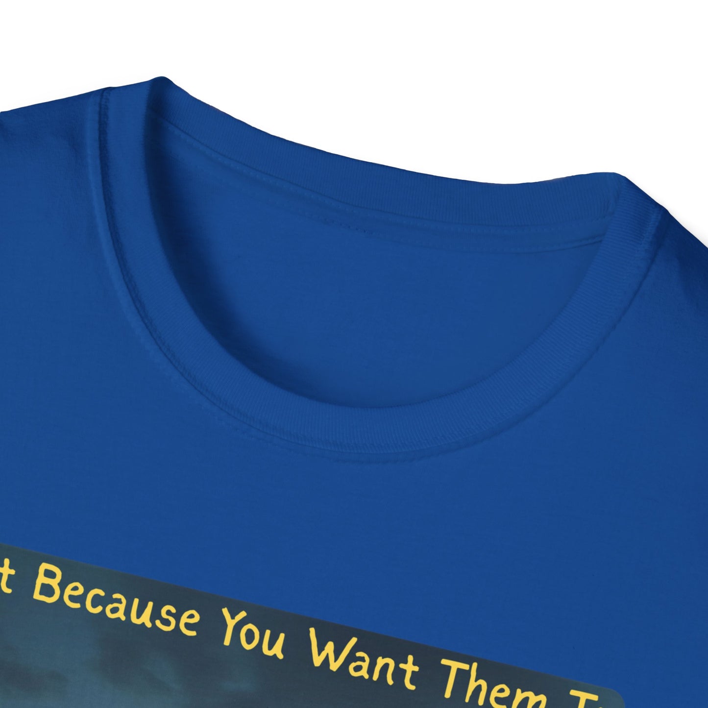 Just Because You Want Them To Dosen't Mean They Will Take You UFO T-Shirt in Royal - Neckline