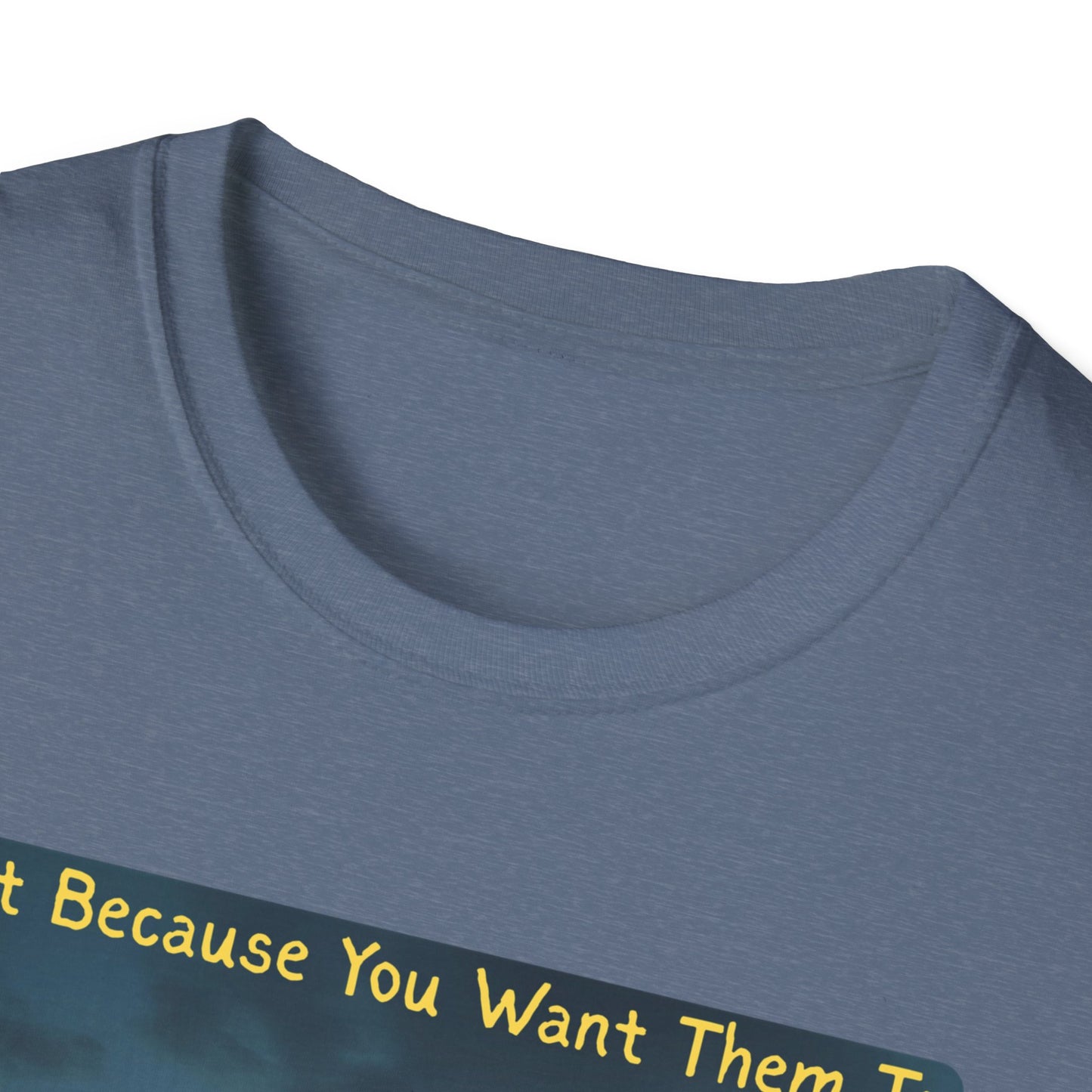 Just Because You Want Them To Dosen't Mean They Will Take You UFO T-Shirt in Heather Indigo -Neckline